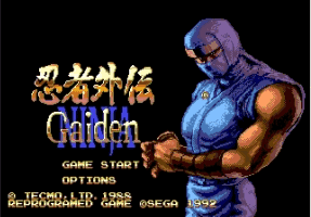 Ninja Gaiden (Beta) Title Screen